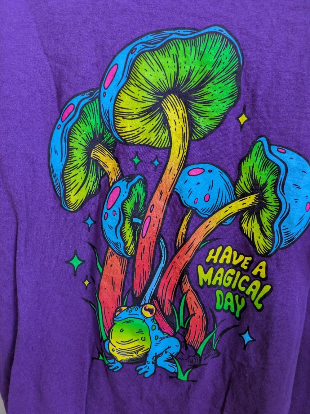 Have a magical day purple graphic t shirt size L #276